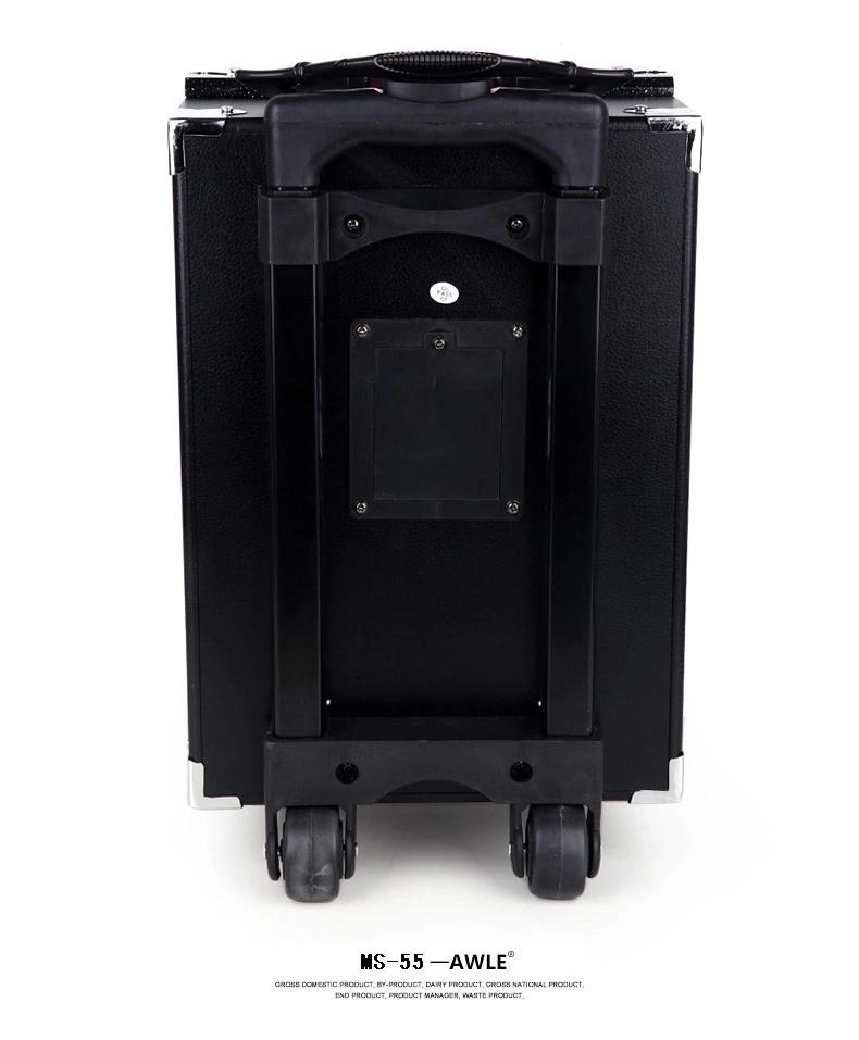 艾维乐拉杆音响8寸地摊叫卖充电无线话筒教学插卡户外广场舞音箱