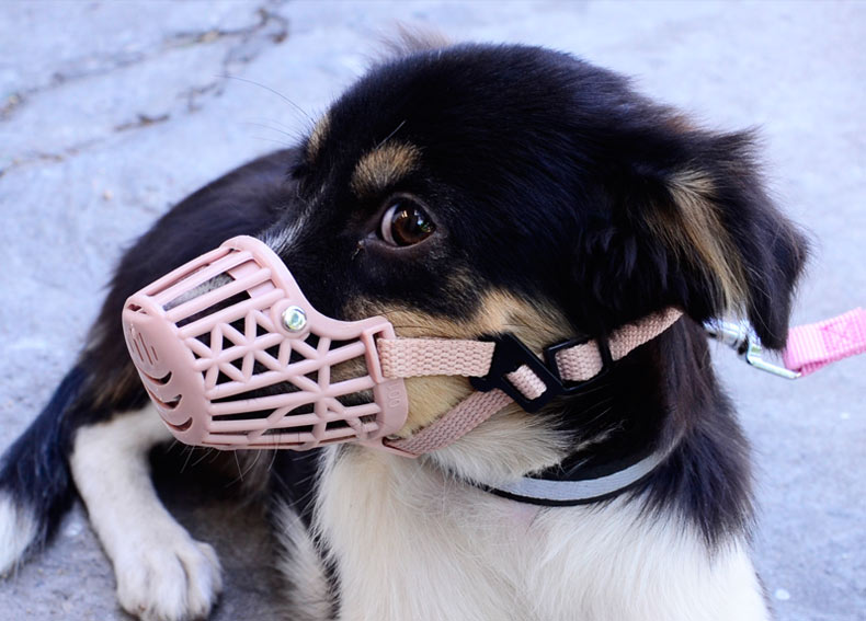 软塑料宠物嘴套宠物嘴罩狗狗嘴套口罩金毛大狗防咬防叫防捡食 2号适用