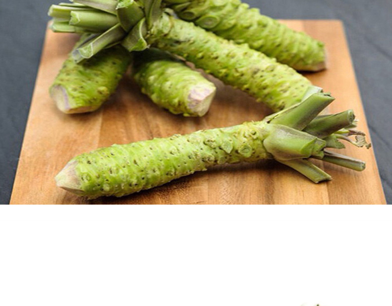 辣根芥末新鲜山葵云南鲜芥末寿司芥末顺丰100g