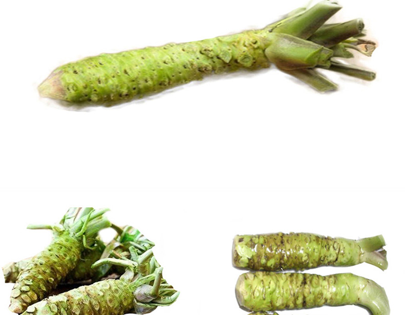 朵蕙山葵根新鲜 辣根芥末 云南鲜芥末寿司芥末 100g【图片 价格 品牌