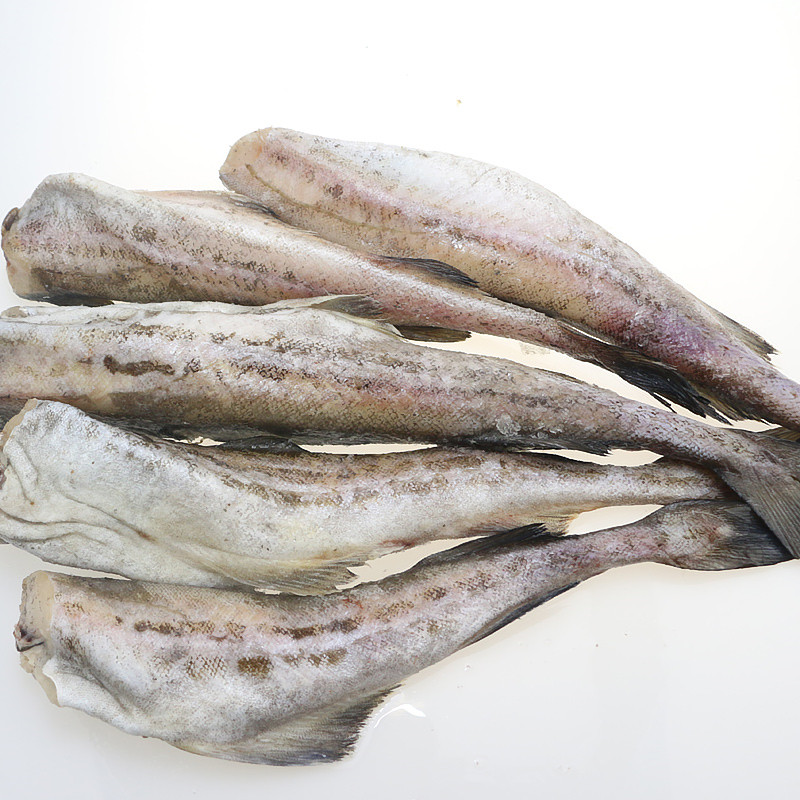 运输新鲜 明太鱼 无头鱼 银狭新鲜 运输海鱼 鳕鱼 礼盒定制款 2kg[4斤