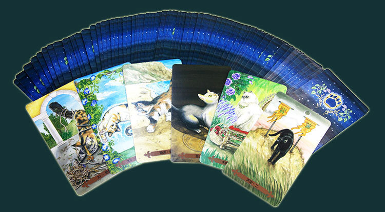 神秘的猫魅塔罗牌猫咪全套塔罗全套说明书牌袋套装进口桌游