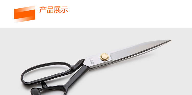 汪吾铨 服装裁缝剪刀  进口专业大剪12寸    WWQ300