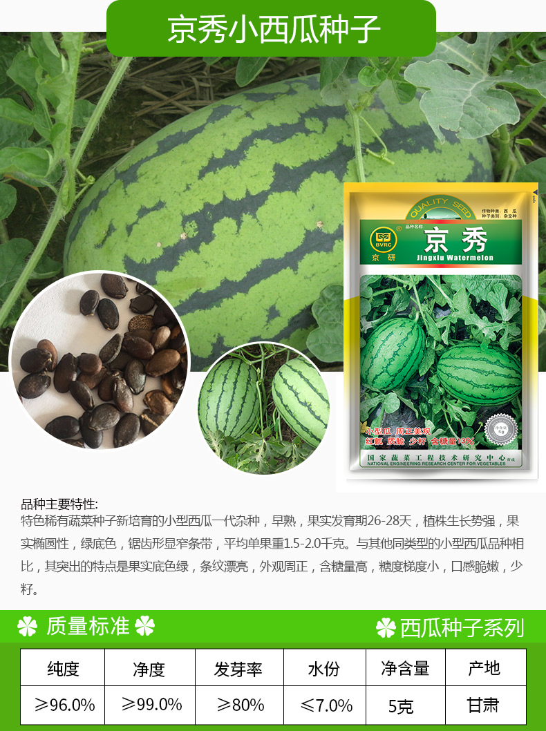 凤鸣雅世 礼品小西瓜种子瓜籽盆栽水果蔬菜四季播种拇指西瓜种籽春播