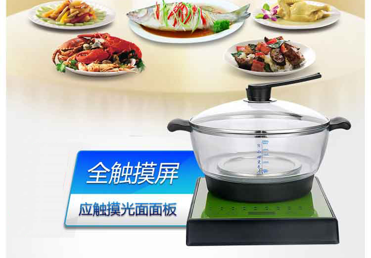 优慕恒泊钻 电炖锅 煲汤煮粥锅 玻璃电火锅2.4L 玻璃锅 草绿色