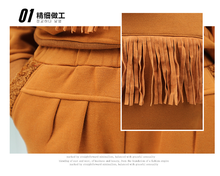 以澜 2015韩版秋冬装新款大码休闲运动服套装卫衣女三件套加厚加绒女士卫衣 1096 驼色 L
