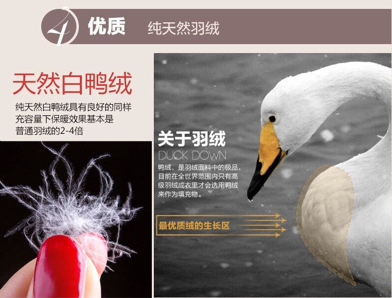 高梵秋冬短款韩版修身保暖羽绒马甲背心内胆马夹坎肩羽绒服女GM14213 宝蓝 L