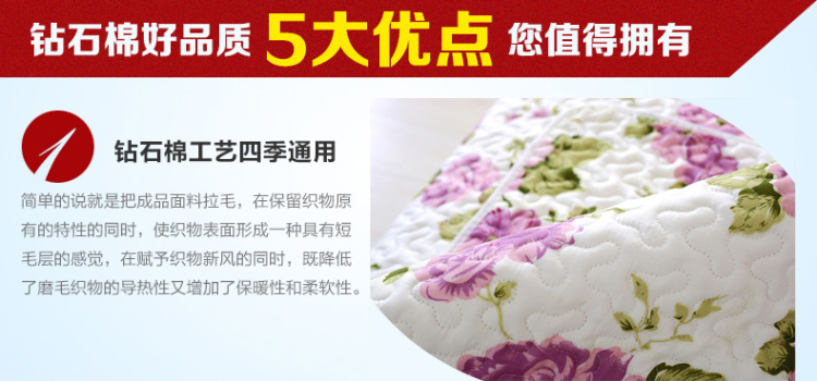 妙享双面沙发垫布艺四季夏田园防滑皮沙发巾欧式实木坐垫套简约罩定做 双面-王者香+叶之恋 70cm*70cm