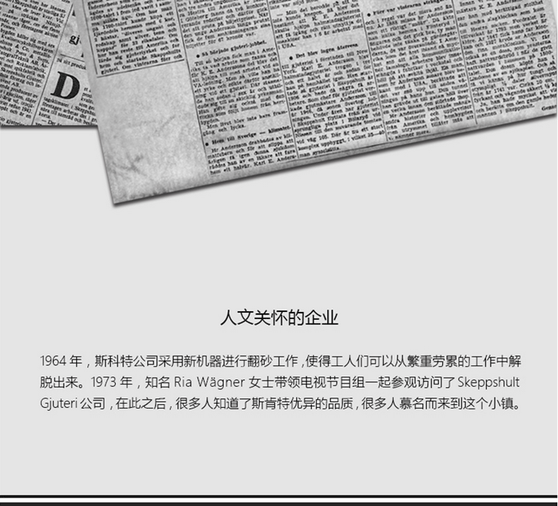 
                                        【瑞典进口】斯肯特 炒锅铸铁锅 无涂层物理不粘锅无油烟锅 平底炒菜锅具32CM                