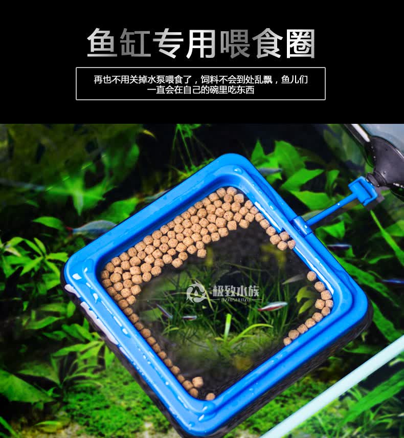 鱼缸喂食圈 水族箱鱼食投食器喂食圈 小型鱼缸喂食器投食圈 包邮 方形