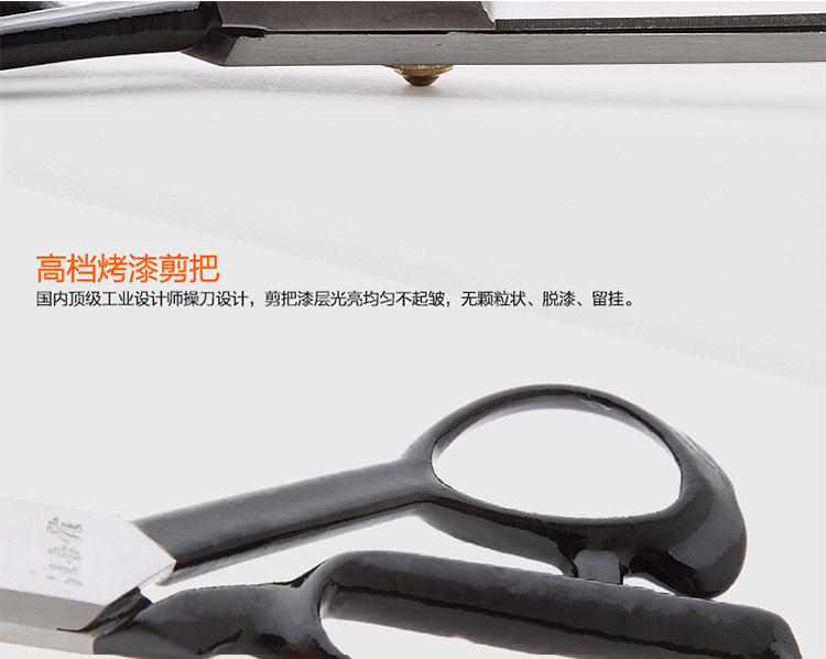 汪吾铨  服装裁缝剪刀   进口专业剪10寸WWQ255
