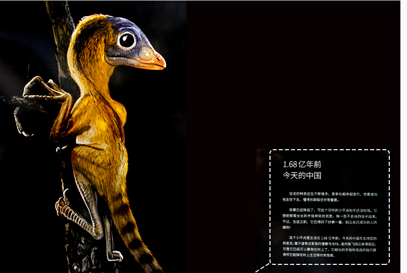 给孩子最好的礼物:《它们:恐龙时代》(超豪华巨型科学文艺画册!
