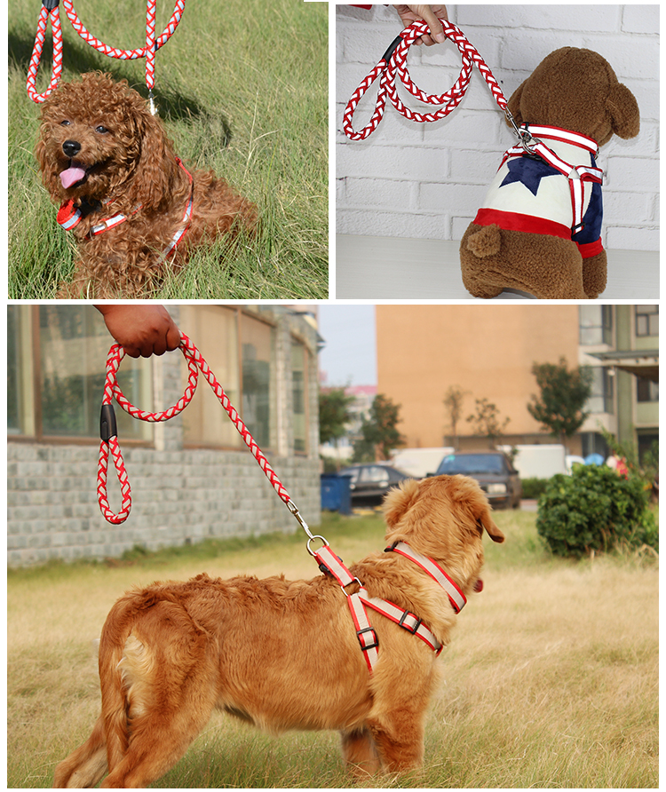 【反光三件套】憨憨宠 反光狗链 狗狗牵引绳中小型犬狗链子胸背带项圈