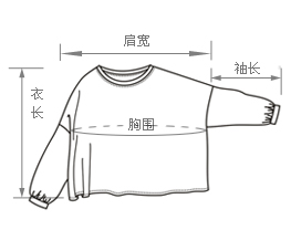 唐狮2015冬（TonLion）女泰迪绒字母绣花卫衣6EK421031405 麻灰 M