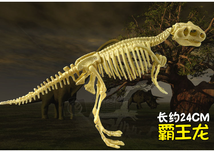 恐龙考古挖掘玩具手工创意diy礼物化石拼装模型男女孩3-6周岁7岁 乾龙