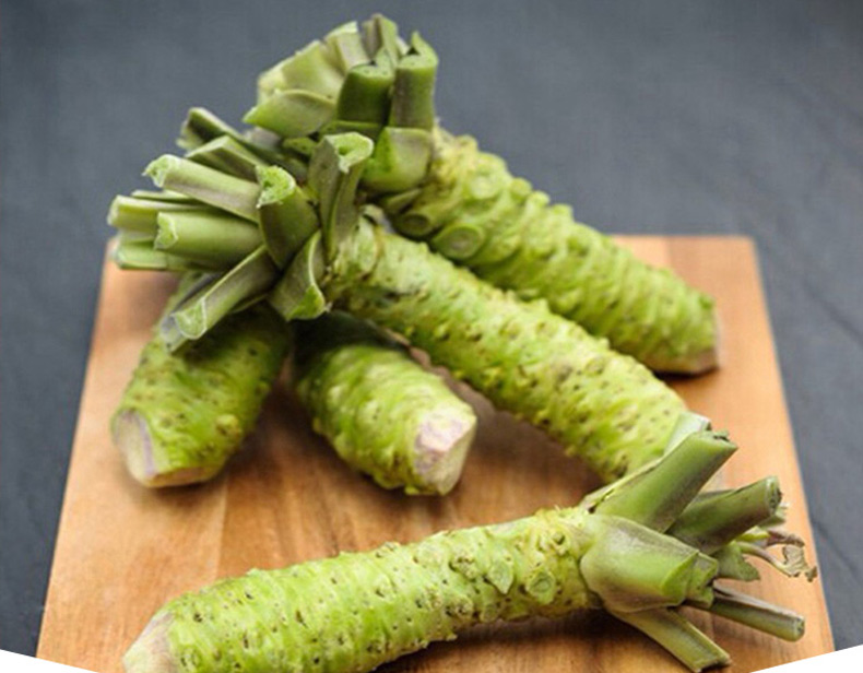 辣根芥末新鲜山葵云南鲜芥末寿司芥末顺丰100g