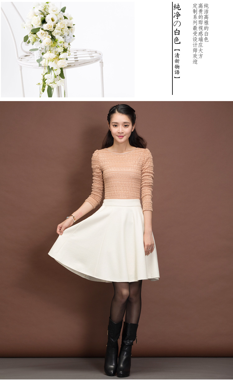 
                                        特尚莱菲 半身裙秋冬短裙女显瘦羊毛呢高腰裙子a字半裙 BHF6661 黑色 XL(2尺4-2尺5)                