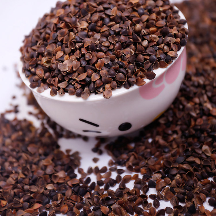 荞麦壳决明子枕头单人枕芯填充物散装甜壳荞麦皮小决明j简单内胆家得