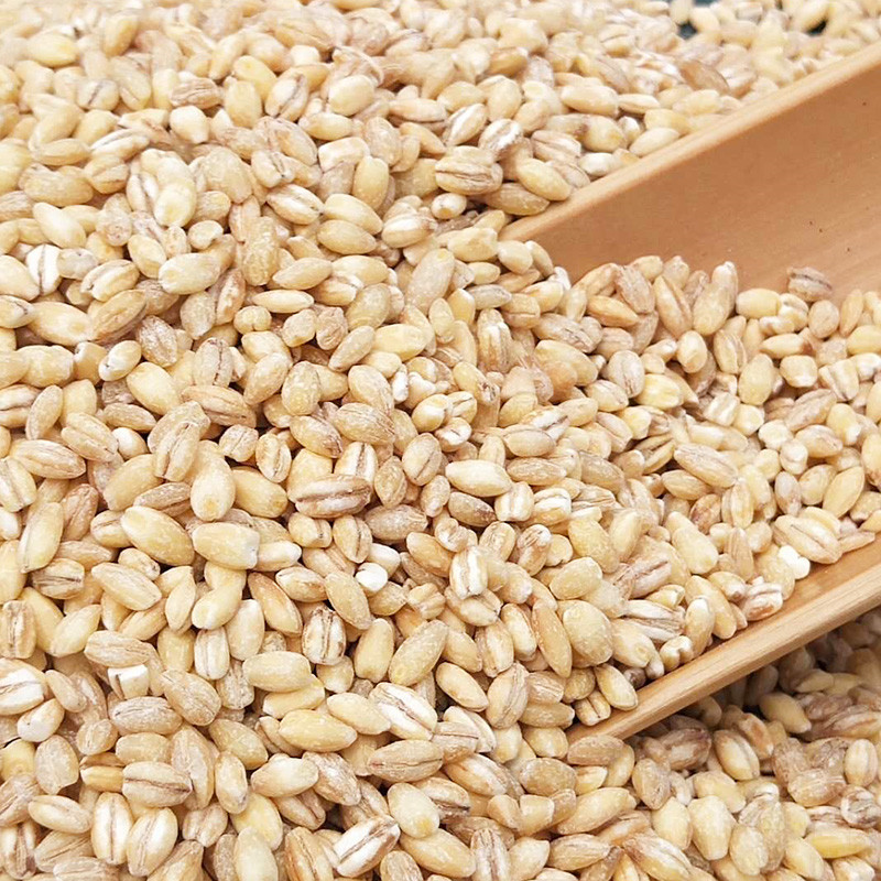 青樱红荔农家小麦仁去皮小麦米脱壳小麦仁五谷杂粮粗粮粥大麦仁米煮粥