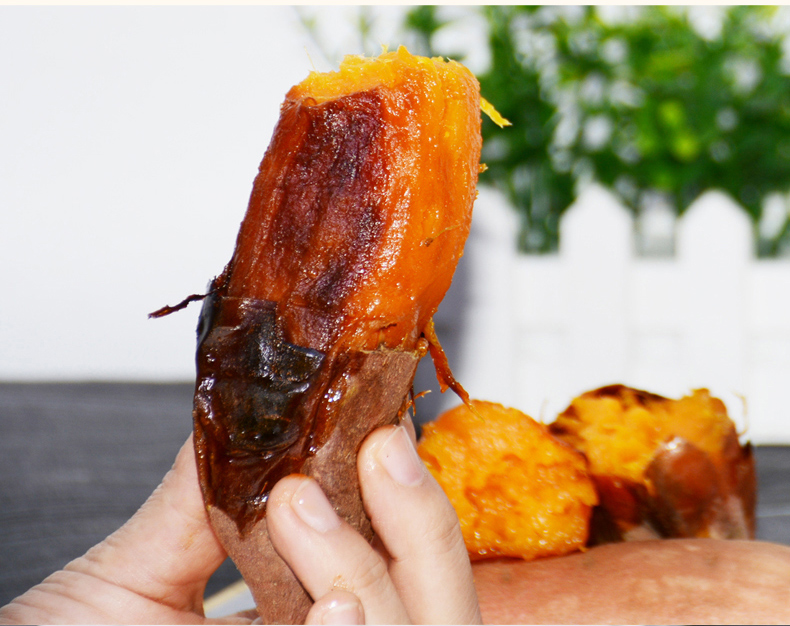 农大姐妹 蜜薯 烟薯25号 新鲜农家红薯 9斤