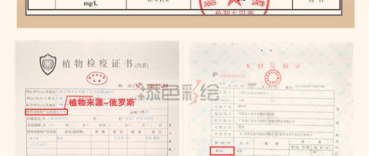 实木照片墙 欧式客厅相片墙现代简约餐厅相框墙欧式卧室创意相框组合TS14C 钟表+2个置物架+黑白框组合