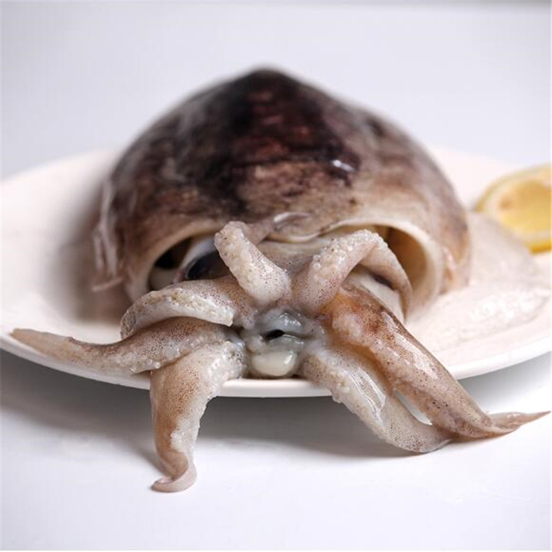 大菜园 大墨鱼 新鲜墨斗鱼 深海乌贼 大乌贼鱼 海鲜水产 顺丰 3斤