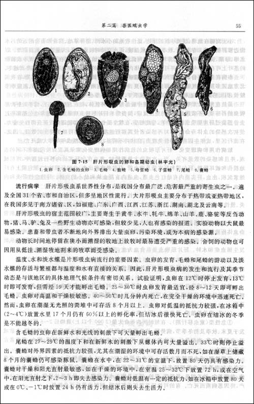 插图:    气候,水土等自然条件对于吸虫,绦虫和线虫之处于自立生活