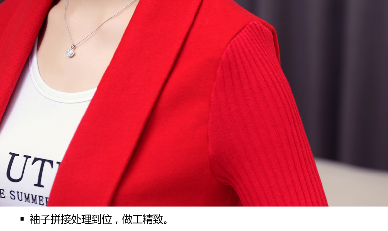 芮魅2015秋冬新款韩版时尚中长款休闲毛呢西装领外套 短外套女4876  灰色  L