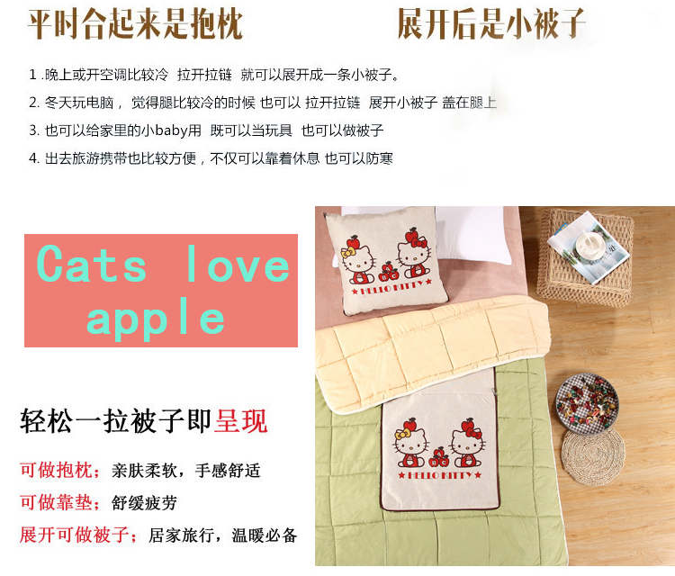 
                                        欣纯家居 多用棉麻抱枕被 汽车办公室两用靠垫45*45cm 天生一对                