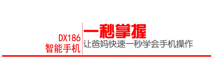 大显DX186 移动/联通 触屏智能老人手机 双卡双待 黑色