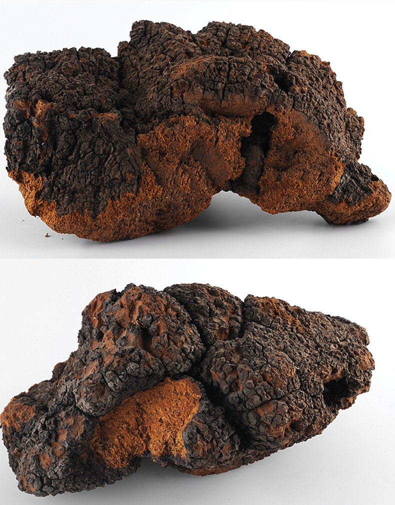 其他包装形式:袋装货号:sjt-野生桦树茸980-2000商品产地:中国大陆