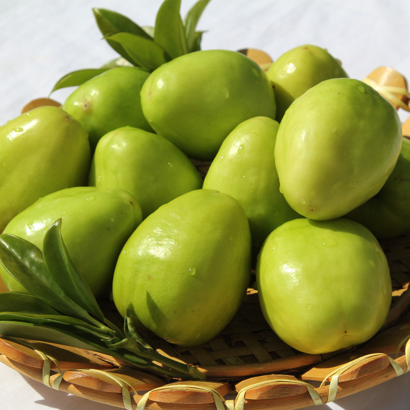 源外园 牛奶大青枣 大青枣 云南元谋大青枣 新鲜水果 冬枣 2.