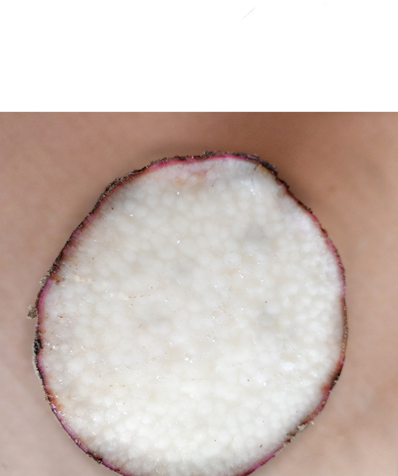 紫皮白心薯新鲜现挖脚板薯大薯毛薯紫玉淮山药25kg