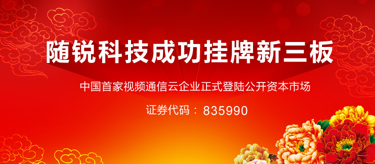 随锐瞩目远程高清视频会议软件网络会议 10方