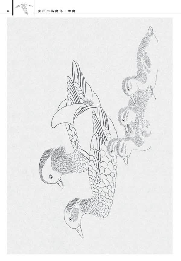 全书以花鸟画中常见的禽鸟为对象,共收录48个品种,以白描的艺术形式