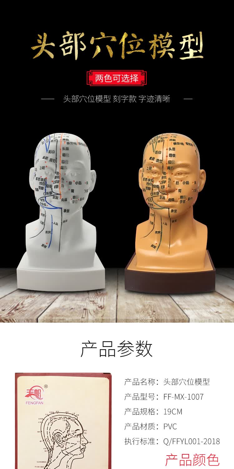 丰帆头部穴位模型中医用人体经络图教学大头部四功能针灸腧穴模型面部