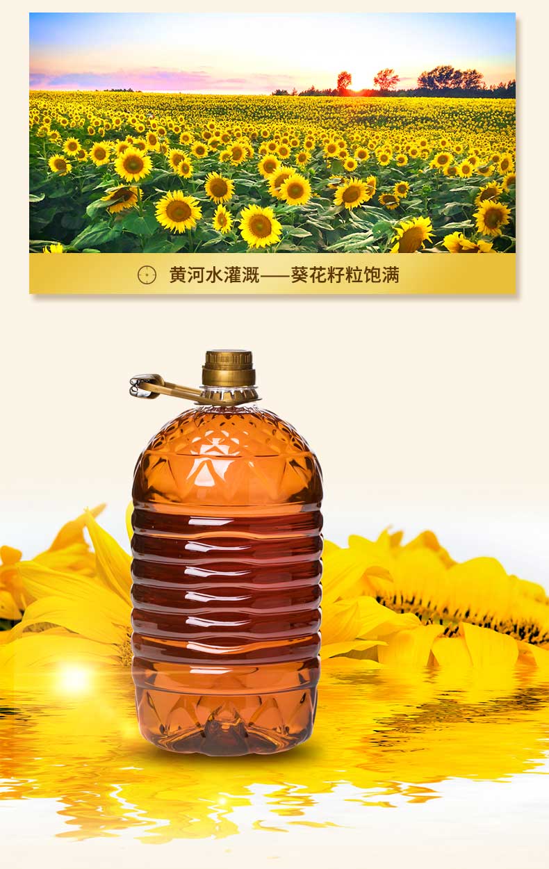 河套 五星葵花籽油 浓香型5l 食用油 火工烘焙 小榨工艺