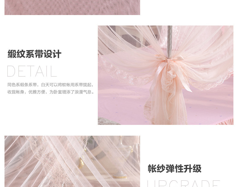 卡斯狄兰 帐纱 宫廷蚊帐三开门落地式加粗不锈钢支架蕾丝花边公主方顶蚊帐单双人床 小城故事-紫色 2.0m床200*220