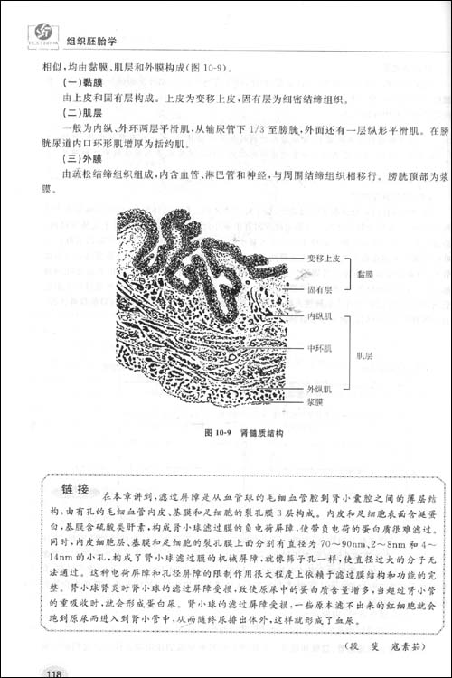 插图:    除石蜡切片外,在制作较硬组织(如骨组织等)可进行磨片;较