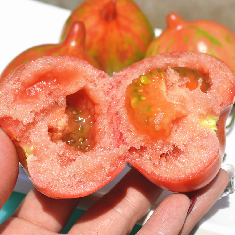 维桑东北花皮球柿子东北皮球柿子东北新鲜蔬菜水果2kg