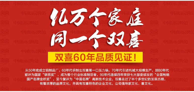 双喜 瑞厨 电压力锅电高压锅压力锅电饭煲家用高压锅5L6L双胆正品 黑色 6L