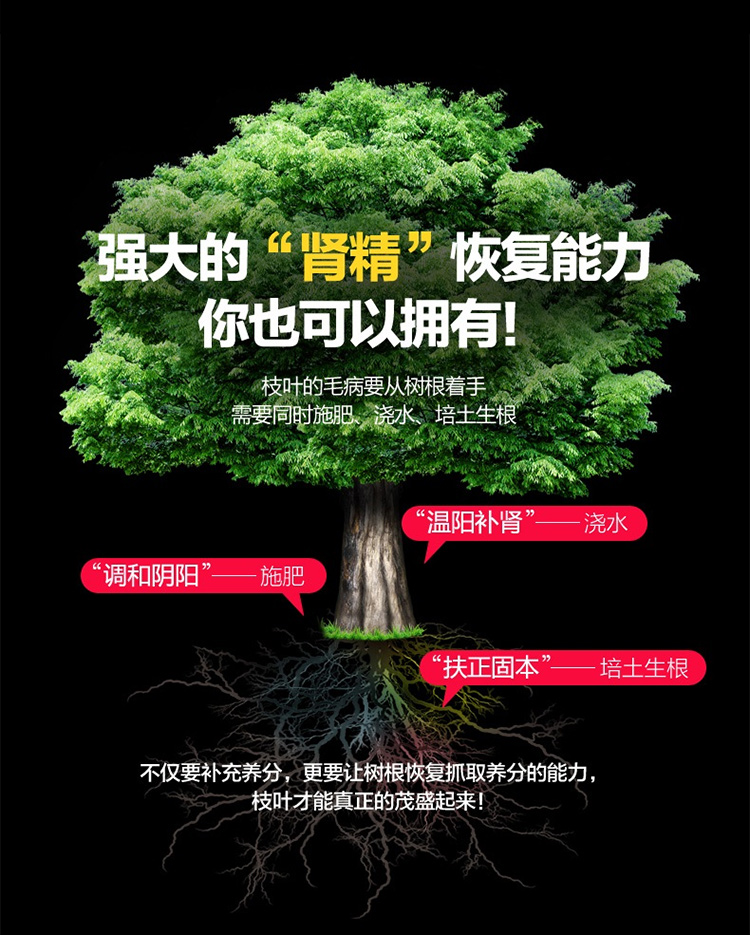 618狂欢价3减1 顺丰】汇仁肾宝片 126片 男女肾虚阴阳虚 汇仁肾宝补肾