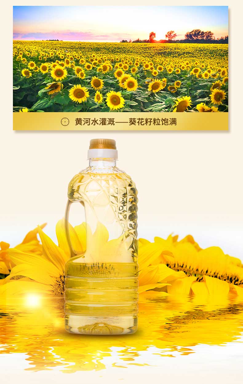 河套 五星葵花籽油 食用油 原香型1.6l 恒温蒸炒 压榨工艺