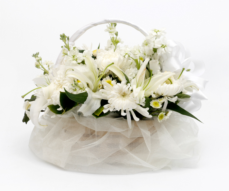 菊花图片祭奠长辈(菊花图片祭奠长辈 黑白)