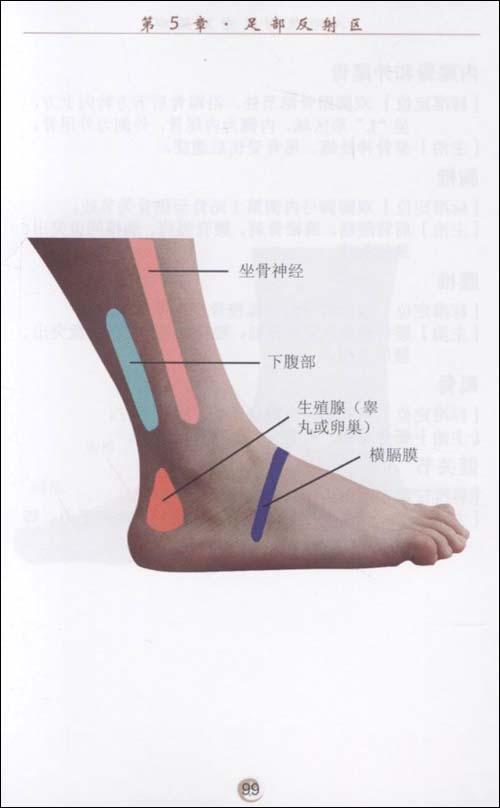 媒体推荐 暂无
