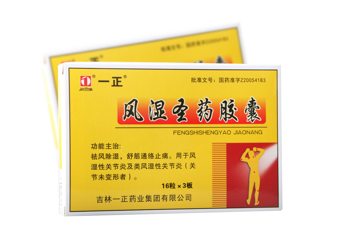 一正 风湿圣药胶囊 0.