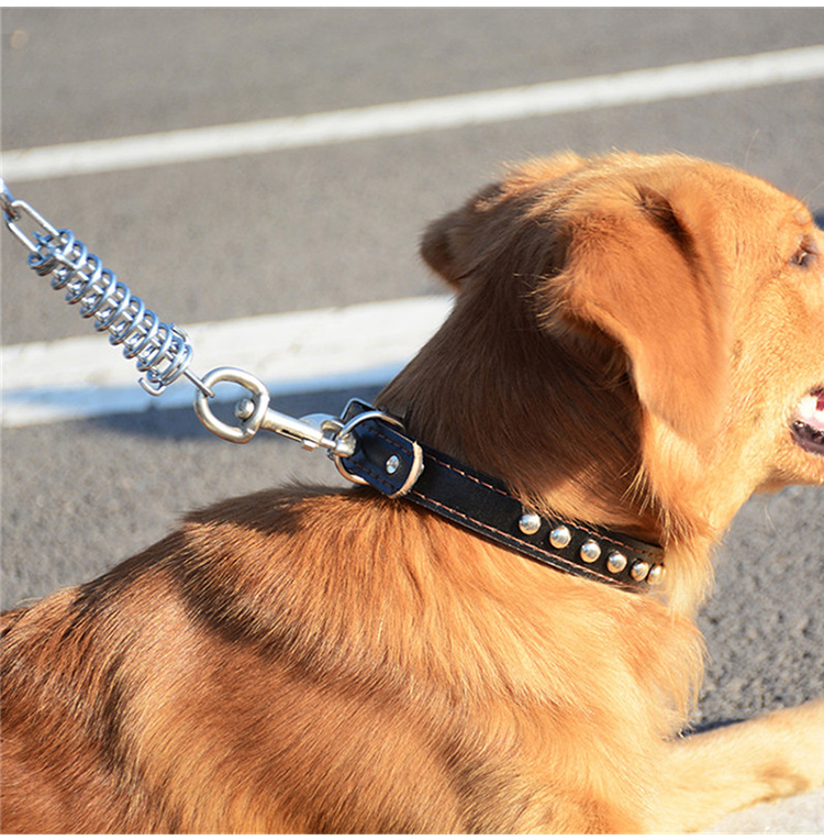 宠星人 狗链狗链子 大型犬中型犬皮革宠物牵引绳项圈套装牵引带金毛