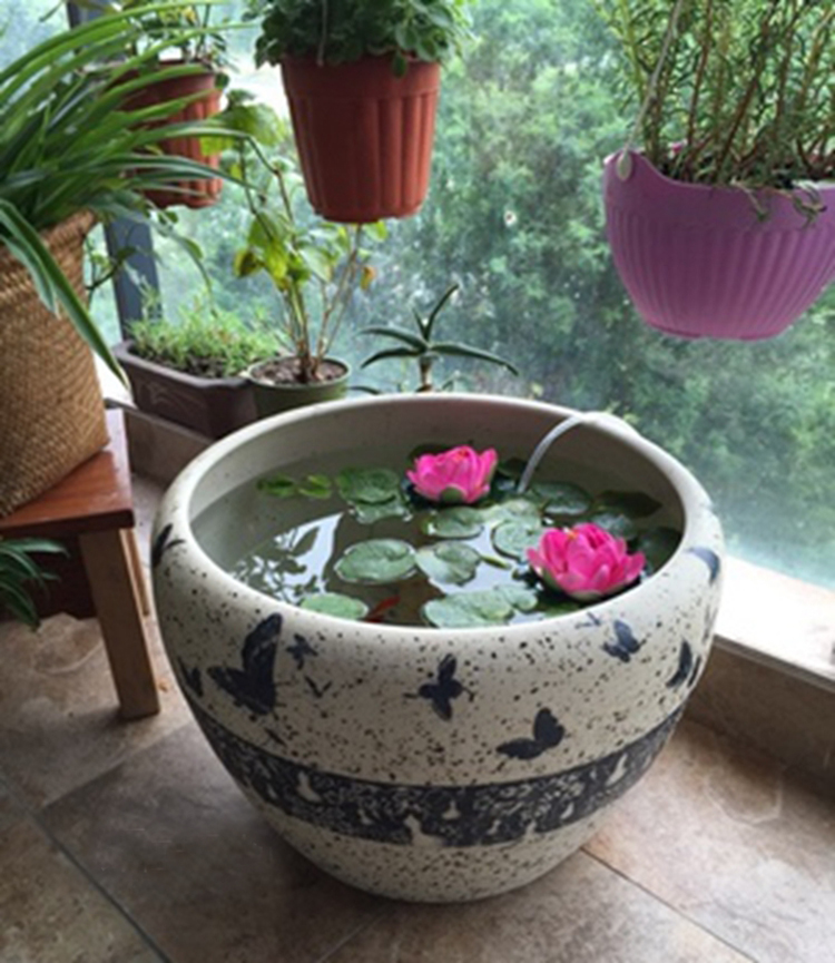 靓缘 景德镇陶瓷鱼缸创意粗陶乌龟缸睡莲缸碗莲缸养鱼盆书画荷花缸