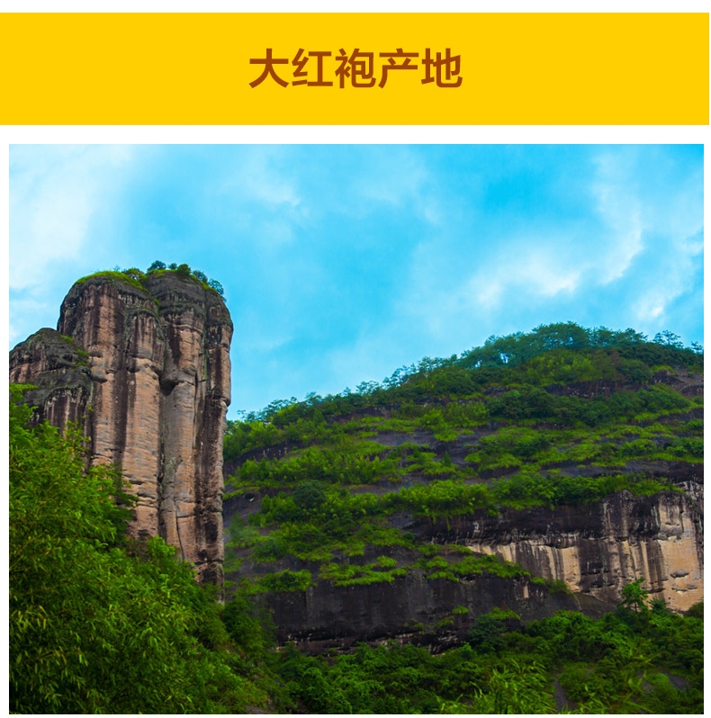 日春茶叶武夷山大红袍605单罐625g红方岩茶礼盒