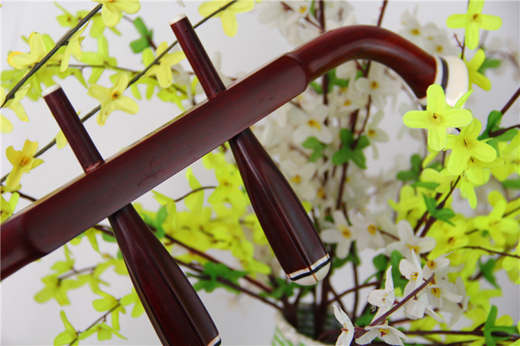 龙韵二胡乐器 精品紫檀二胡 特价直销 编号20561查尔达什